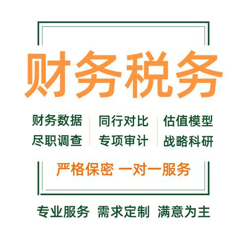 財務報表分析可行性研究報告審計稅務咨詢代寫商業計劃書年度述職